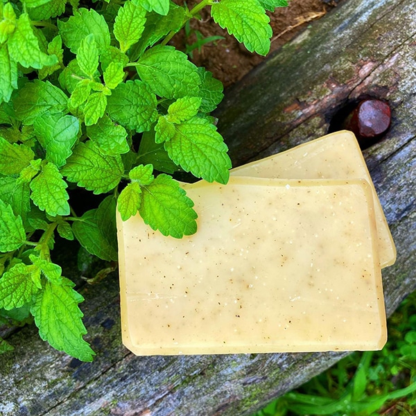 image of natural made soaps, body butter, essential oils, and lip balms